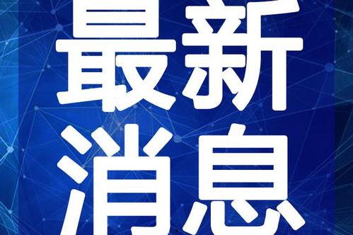 大蓝最新爆料新闻视频,最新爆料新闻视频深度解析